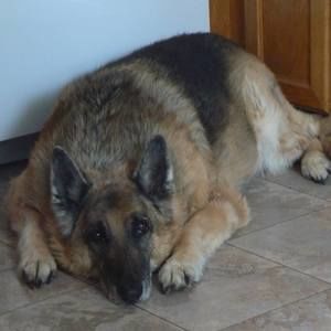 Meet your Posher, Janet